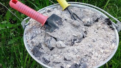10 usi brillanti della cenere di legno in casa e in giardino