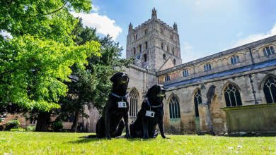 Questi Cani Sono Stati Ammessi Temporaneamente all’Abbazia di Tewkesbury, Ma Sono Finiti per Rimanere come Parte dello Staff