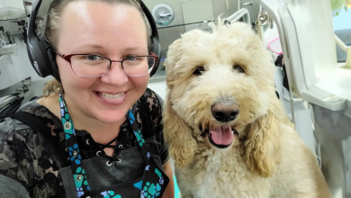 Toelettatrice per Animali si Accorge di Aver Ricevuto uno Scherzo Telefonico da un Cane