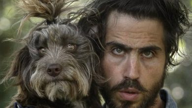 Non solo nell’aspetto, ma anche nel carattere: perché i cani assomigliano ai loro padroni?