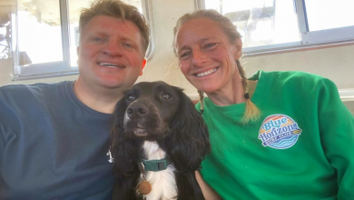 Cane ‘Sirena’ a 6 Zampe Finalmente Adottato da Istruttori di Surf per Persone con Disabilità