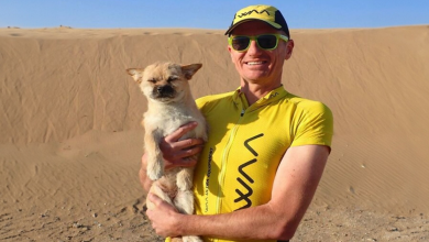 Cane randagio corre per 130 chilometri accanto a un atleta nel deserto cinese e trova una nuova casa