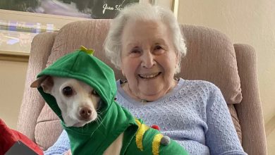 Una donna di 100 anni trova il compagno perfetto in un cane anziano che nessuno voleva