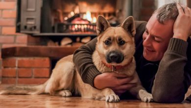 Nella vita, non importa quanti soldi o successi tu abbia. Se hai un cane, sei già ricco