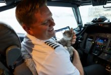 Pilota di Linea Incontra un Gattino Senza Casa e lo Adotta sull’Aereo