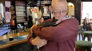 L’Uomo Porta il Suo Tacchino Ovunque: Compagni Inseparabili Persino al Pub e a Casa