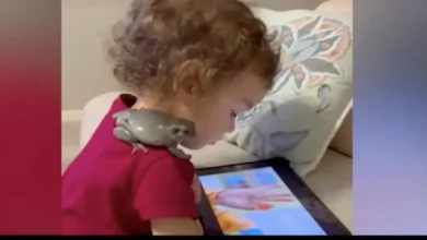 Un Bambino è il Migliore Amico di una Rana: Mangiano Insieme, Guardano la TV e Fanno Passeggiate