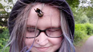 Un Adolescente Salva un Bombus e Ora Non Vuole Lasciarla –Persino Dormendo in un Barattolo Accanto al Suo Letto
