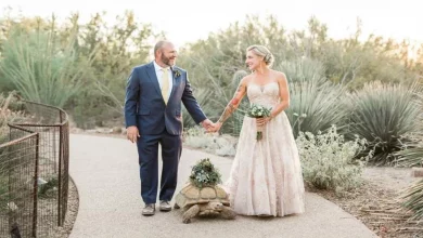 La Sposa Fa la Passeggiata Più Lenta della Storia Verso l’Altare, Mentre la Sua Testuggine Porta-Anelli Ruba la Scena nel Giorno delle Nozze