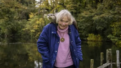 Questa Donna e le Sue Lontrine Domestiche hanno Trascorso gli Ultimi 40 Anni Proteggendo la Specie dall’Estinzione in Inghilterra