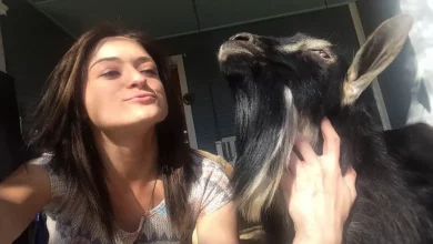 Una Donna Condivide la Sua Casa con 90 Animali Salvati Chiamati come i Personaggi del Signore degli Anelli