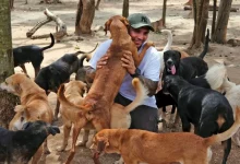 Un Uomo Apre la Sua Casa per Accogliere 300 Cani Durante un Uragano: ‘Non importa se la casa è sporca’