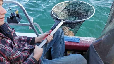 Famiglia di Pescatori Sbalordita Nel Salvare un Giovane Lince dall’Annegamento in Mezzo a un Lago
