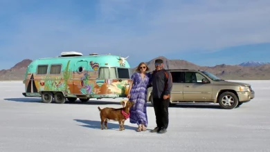‘Frankie la Capra Avventuriera’ ha viaggiato per oltre 96.560 chilometri attraverso l’America in un epico viaggio su strada