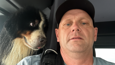 Gli occhi del cane dicono tutto dopo il drammatico salvataggio dalle inondazioni dell’uragano