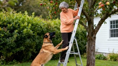 Ero arrabbiata perché il mio cane non mi faceva salire sull’albero, finché non ho visto cosa è successo dopo…