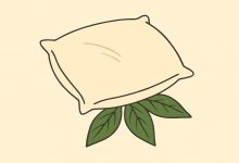 La mia suocera ogni volta mette una foglia di alloro sotto il cuscino di mio marito. Pensavo fosse una sorta di stregoneria… finché non ho scoperto la verità…