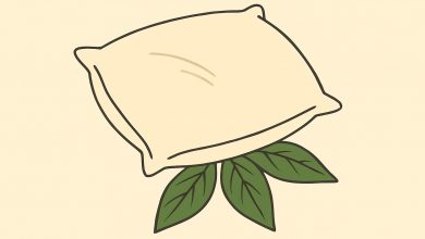 La mia suocera ogni volta mette una foglia di alloro sotto il cuscino di mio marito. Pensavo fosse una sorta di stregoneria… finché non ho scoperto la verità…