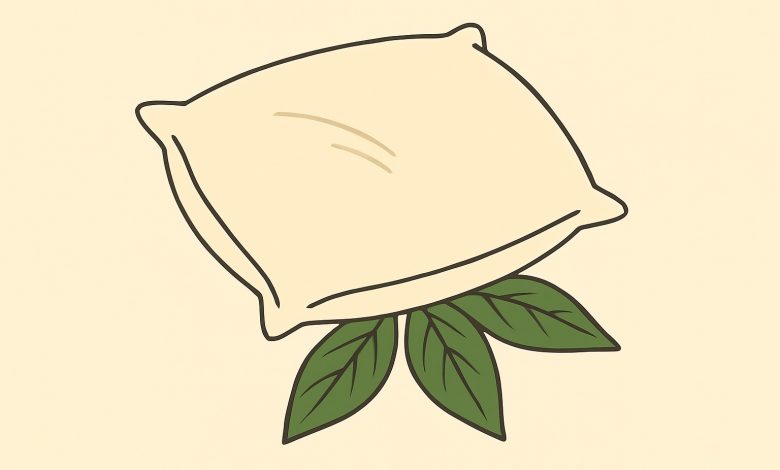 La mia suocera ogni volta mette una foglia di alloro sotto il cuscino di mio marito. Pensavo fosse una sorta di stregoneria… finché non ho scoperto la verità…