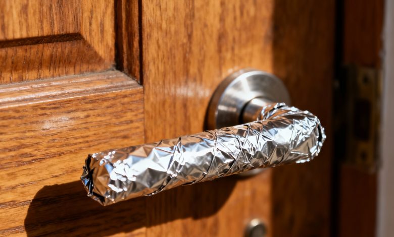 La ragione inaspettata per cui ho avvolto la maniglia della porta dei vicini con la pellicola di alluminio La ragione inaspettata per cui ho avvolto la maniglia della porta dei vicini con la pellicola di alluminio