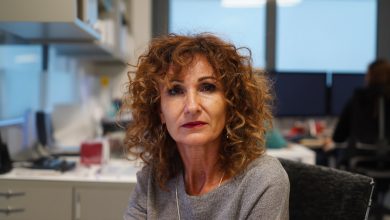 Una collega mi ha sabotato davanti al capo per sette anni, poi ha chiesto di sostituirla urgentemente a una presentazione importante. Ho accettato e ho fatto qualcosa che non mi sarei mai aspettata di fare… Una collega mi ha sabotato davanti al capo per sette anni, poi ha chiesto di sostituirla urgentemente a una presentazione importante. Ho accettato e ho fatto qualcosa che non mi sarei mai aspettata di fare…