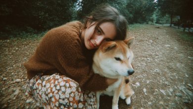 Le sorelle dividevano la casa della nonna. Io ho preso solo il suo vecchio cane — e sono rimasta senza parole quando ho scansionato il codice sul suo collare