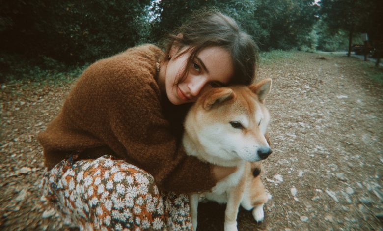 Le sorelle dividevano la casa della nonna. Io ho preso solo il suo vecchio cane — e sono rimasta senza parole quando ho scansionato il codice sul suo collare