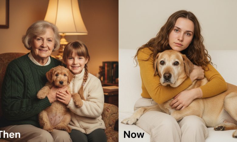 La nonna ha lasciato al cugino avido centomila. A me — il suo vecchio cane. Si è scoperto che il cane custodiva un segreto La nonna ha lasciato al cugino avido centomila. A me — il suo vecchio cane. Si è scoperto che il cane custodiva un segreto