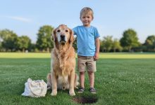Il cane del vicino ha scavato un sacchetto nel mio giardino — la polizia è arrivata in 15 minuti