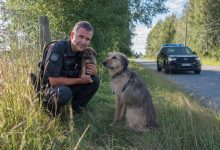 Un cucciolo è corso verso i poliziotti in cerca di aiuto. Ciò che è successo dopo è difficile da dimenticare…