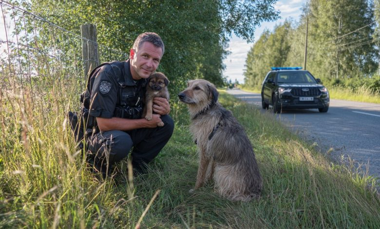 Un cucciolo è corso verso i poliziotti in cerca di aiuto. Ciò che è successo dopo è difficile da dimenticare… Un cucciolo è corso verso i poliziotti in cerca di aiuto. Ciò che è successo dopo è difficile da dimenticare…