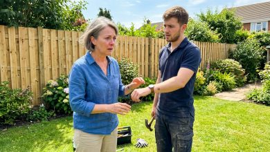 Uno sconosciuto le ha aggiustato il recinto per cento dollari — poi ha notato il segno di nascita sul suo polso