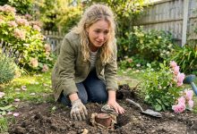 Un anno dopo la scomparsa della nonna, ho mantenuto la mia promessa e ho spostato il suo cespuglio di rose — non mi aspettavo mai cosa fosse sepolto sotto di esso