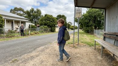 Aveva sei anni. Ha percorso sessantaquattro chilometri da solo per scoprire se sua nonna fosse davvero una persona cattiva.